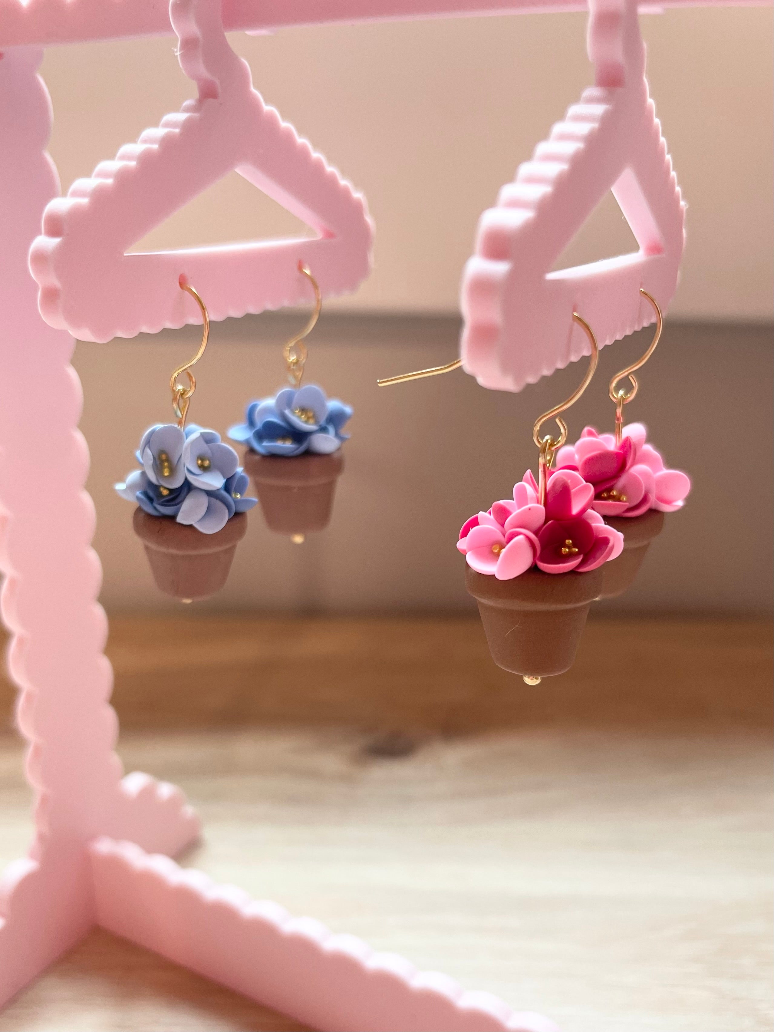 Blue & Pink Potted Spring Flowers